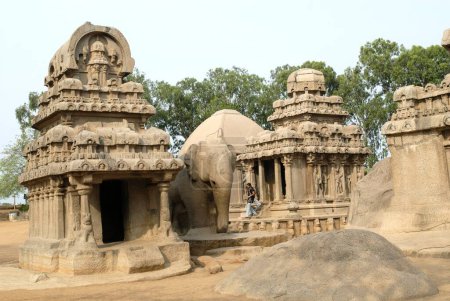 Téléchargez les photos : Cinq Rathas Pancha Temple de Rathas créé au 7ème siècle ; Mahabalipuram Mamallapuram ; Tamil Nadu ; Inde - en image libre de droit