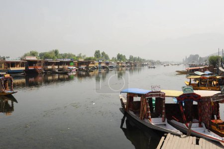 Photo for Dal lake, Srinagar, jammu Kashmir, india, asia - Royalty Free Image
