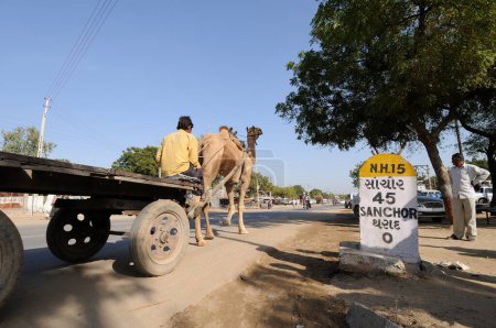 Téléchargez les photos : Camel Cart sur Village Road Gujarat Inde - en image libre de droit