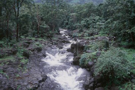 Agua que fluye desde el valle verde, Malshej Ghat, Maharashtra, India