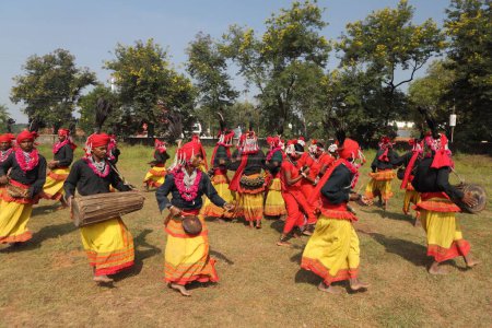Téléchargez les photos : Mudia danseuse tribale, jagdalpur, chhattisgarh, Inde, asie - en image libre de droit