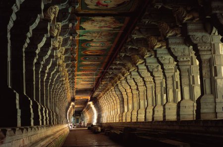 Téléchargez les photos : Couloir le plus long couloir de 1220 mètres dans le temple Ramanathaswami à Rameswaram, Tamil Nadu, Inde - en image libre de droit