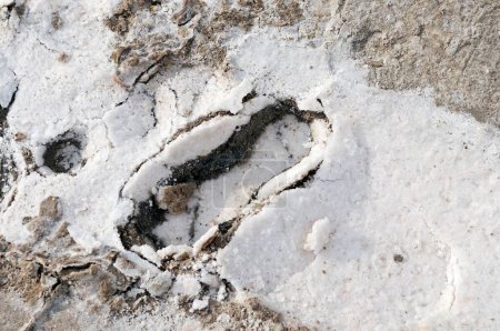 Fußspuren in Salzresten in der Thar-Wüste, Bhuj, Kutch, Gujarat, Indien