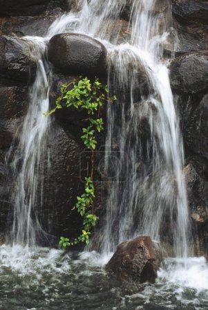 Photo for Artificial waterfall , shirdi , maharashtra , india - Royalty Free Image