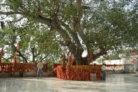 Foto de Templo de Mansa Devi Panchkula punjab India - Imagen libre de derechos