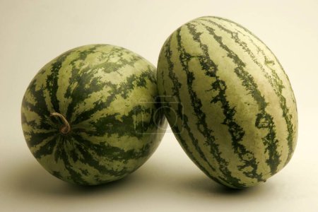 Photo for Fruits ;Two full watermelons with light and dark green stripes watery and red from inside ; Pune; Maharashtra ; India - Royalty Free Image