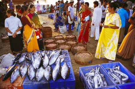 Téléchargez les photos : Les gens qui achètent et vendent du poisson dans le bazar de plage, Inde - en image libre de droit