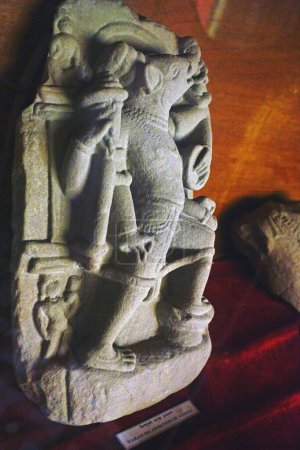Téléchargez les photos : Statue de Varah incarnation du seigneur Vishnu ; objets fouillés dans le musée ; patrimoine mondial de l'UNESCO ; Lumbini ; Népal - en image libre de droit
