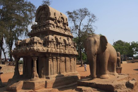 Foto de Nakul Sahadeva Ratha y estatua de elefante en Pancha Rathas tallada durante el reinado del rey Mamalla (Narasimhavarman I; c. 630 - 670) Monolito templos de talla en roca; Mahabalipuram; Distrito Chengalpattu; Tamil Nadu; India Patrimonio de la Humanidad por la UNESCO - Imagen libre de derechos