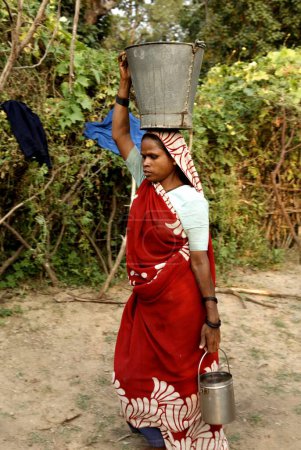 Photo for Woman carrying water in metal pots ; Carm Daksh ; Bilaspur ; Chhattisgarh ; India - Royalty Free Image