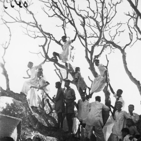 Foto de Personas sentadas en un árbol esperando ver a Mahatma Gandhi durante su marcha por el área afectada por disturbios hindúes musulmanes en Noakhali Bengala Oriental, noviembre 1946, India - Imagen libre de derechos