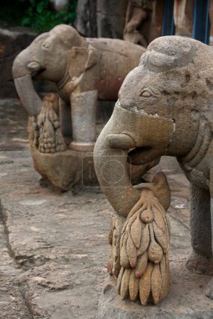 Téléchargez les photos : Statue d'éléphant dans le patrimoine bouddhiste site excavé ; Udayagiri 1er C.BC ; Orissa ; Inde - en image libre de droit