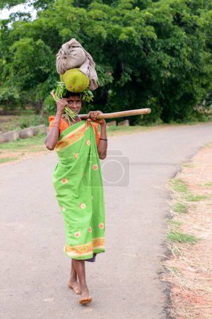 Photo for Woman carrying jackfruit paderu Visakhapatnam andhra pradesh - Royalty Free Image