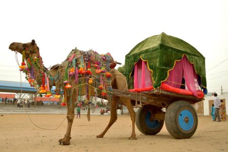 Téléchargez les photos : Camel cart pushkar fair ajmer rajasthan Inde Asie - en image libre de droit