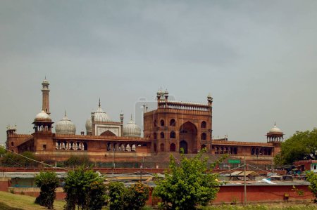 Téléchargez les photos : Jama Masjid, Eastern Gate, Delhi, INDE - en image libre de droit