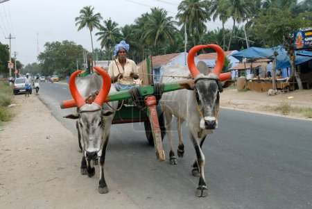Téléchargez les photos : Chariot à boeufs sur route, Inde - en image libre de droit