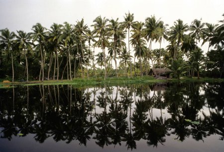 Backwaters von Kerala INDIEN