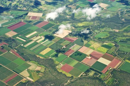 Vista aérea de campos, Cairns, Queensland, Australia 