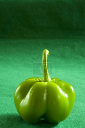 Téléchargez les photos : Légumes, épices piment vert Capsicum Shimla Mirch Capsicum annuum Capsicum frutescens sur fond vert - en image libre de droit
