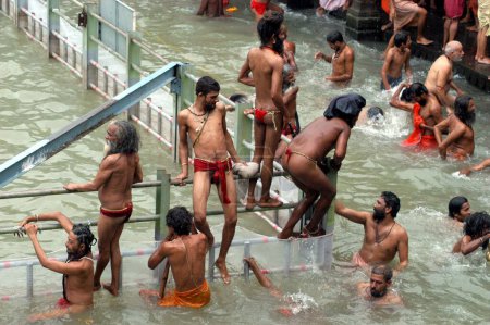 Téléchargez les photos : Sadhus prend un bain sacré pendant le Kumbh Mela 2003 à Trimbakeshwar, près de Nasik, Maharashtra, Inde. - en image libre de droit