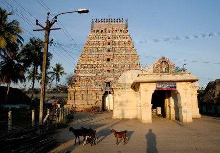 Foto de 1; torre del templo de Mahalingeswarar de 200 años de edad en Thiruvidaimarudur cerca de Kumbakonam, Tamil Nadu, India - Imagen libre de derechos