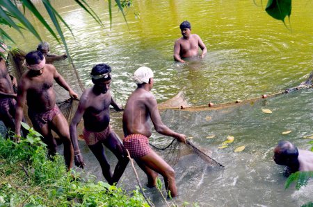 Foto de Humedales pissi cultura de la captura de peces; Calcuta Calcuta Calcuta; Bengala Occidental; India - Imagen libre de derechos