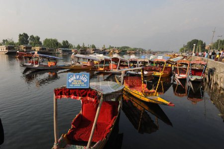 Téléchargez les photos : Shikara bateaux dans le lac dal, Srinagar, jammu Cachemire, Inde, Asie - en image libre de droit