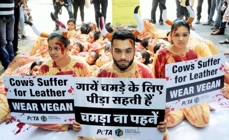 Téléchargez les photos : Manifestation PETA, Peuple pour le traitement éthique des animaux, porter végétalien, vaches souffrent pour le cuir, New Delhi, Inde, 25 mai 2017 - en image libre de droit