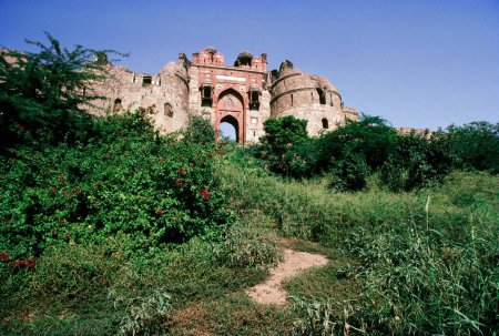 Purana Qila Alte Festung, Delhi, Indien