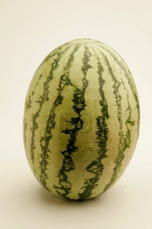 Fruits ;Two full watermelons with light and dark green stripes watery and red from inside ; Pune; Maharashtra ; India