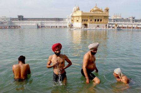 Photo for Sikh devotees take a holy dip in  Amrit sarovar the lake of nectar, Golden temple, Amritsar, Punjab, India - Royalty Free Image
