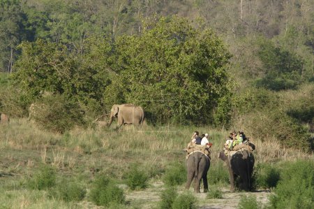 Foto de Turistas en safari de elefantes en Corbett Tiger Reserve, Uttaranchal, India - Imagen libre de derechos