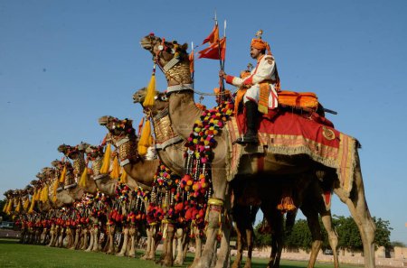 Téléchargez les photos : Camel show by BSF Jawans in Marwar Festival Jodhpur Rajasthan Inde - en image libre de droit