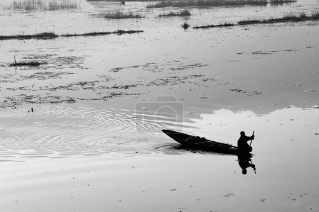 Kashmiri paddling boat, Nagin Lake, Dal Lake, Srinagar, Kashmir, Jammu and Kashmir, India, Asia