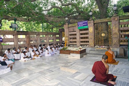 Photo for People worshiping Bodhi tree where Gautam Buddha attained enlightenment at UNESCO World Heritage Mahabodhi temple ; Bodhgaya ; Bihar ; India - Royalty Free Image