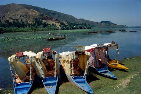 Téléchargez les photos : Shikara, lac Manasbal, Jammu-et-Cachemire, Inde - en image libre de droit