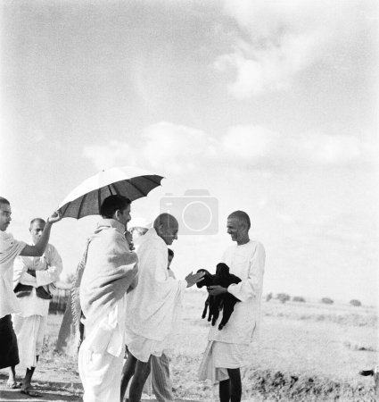 Photo for Mahatma Gandhi fondling a newborn goat, September 1938 - Royalty Free Image