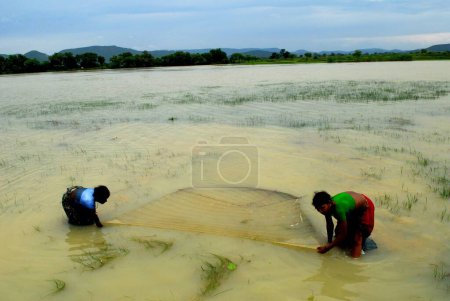 Foto de Ho tribus mujeres la captura de peces de las cuencas; Chakradharpur; Jharkhand; India NO MR - Imagen libre de derechos
