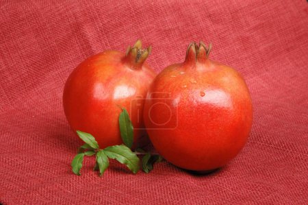 Food , Pomegranate Dalim (Punica granatum Linn)