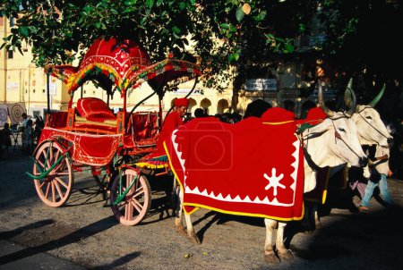 Photo for Decorated Bullock Carts for teej procession , jaipur , rajasthan , india - Royalty Free Image