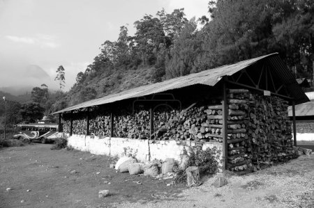 Foto de Almacén de troncos de madera, Munnar, Idukki, Kerala, India, Asia - Imagen libre de derechos