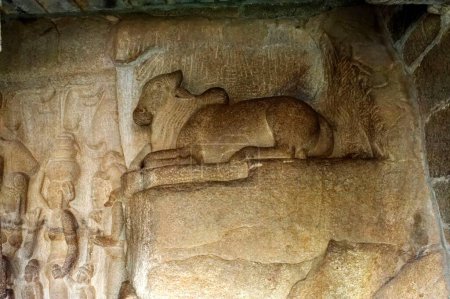 Carving at Krishna Mandapam in Mahabalipuram at Tamilnadu India Asia