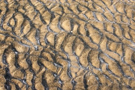 Foto de Patrón de forma de arena debido a las olas del mar y pequeñas bolas creadas por cangrejos en la playa de Kalamb, Bassein Vasai, District Thane, Maharashtra, India - Imagen libre de derechos