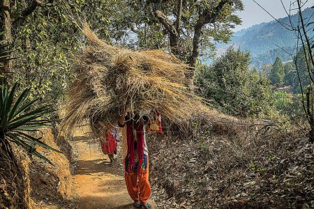 Foto de Mujer con heno en la cabeza, Kausani, Bageshwar, Kumaon, Uttarakhand, India - Imagen libre de derechos