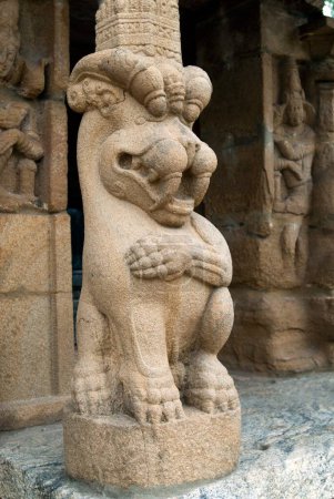 Foto de Pilares del león en templo de Kailasanatha adentro, Kanchipuram, kancheepuram, Tamil Nadu, India - Imagen libre de derechos