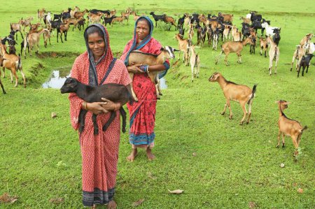 Foto de Mujeres rurales con cabras iniciativa económica de cría de animales iniciada por la ONG Chinmaya Organización de Desarrollo Rural CORD, Deuladiha, Orissa, India - Imagen libre de derechos