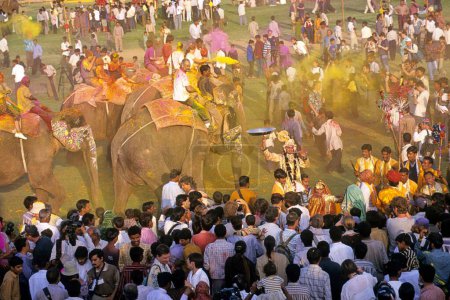 Téléchargez les photos : Foule célébrant Holi Festival, vue aérienne - en image libre de droit