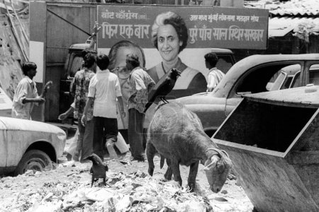 Téléchargez les photos : Affiche de Mme Indira Gandhi, campagne électorale, Bombay Mumbai, Maharashtra, Inde - en image libre de droit