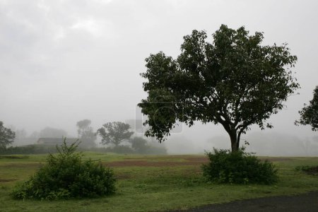 Foto de Paisaje de monzón brumoso; Panhala; Kolhapur; Maharashtra; India - Imagen libre de derechos