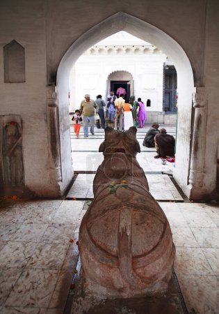 Photo for Nandi bull over looking Shiv ling temple in Jageshwar temple of lord Shiva built by Marathas in 17th century at Bandakpur District ; Damoh ; Madhya Pradesh ; India - Royalty Free Image